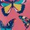 Vibrant Butterflies Shiny Wellies