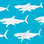 Hungry Sharks Swim Trunks