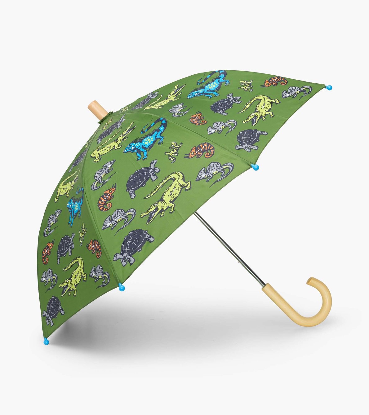 Agrandir l'image de Parapluie – Reptiles aquatiques