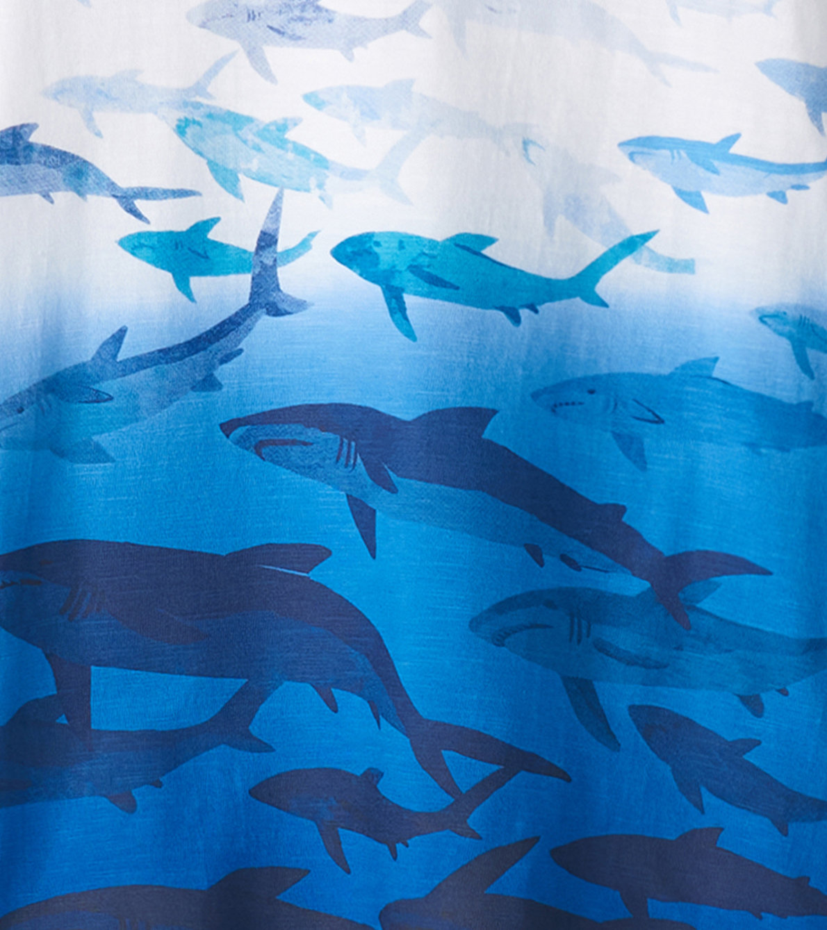 Agrandir l'image de T-shirt à imprimé pour tout-petit – École de requins