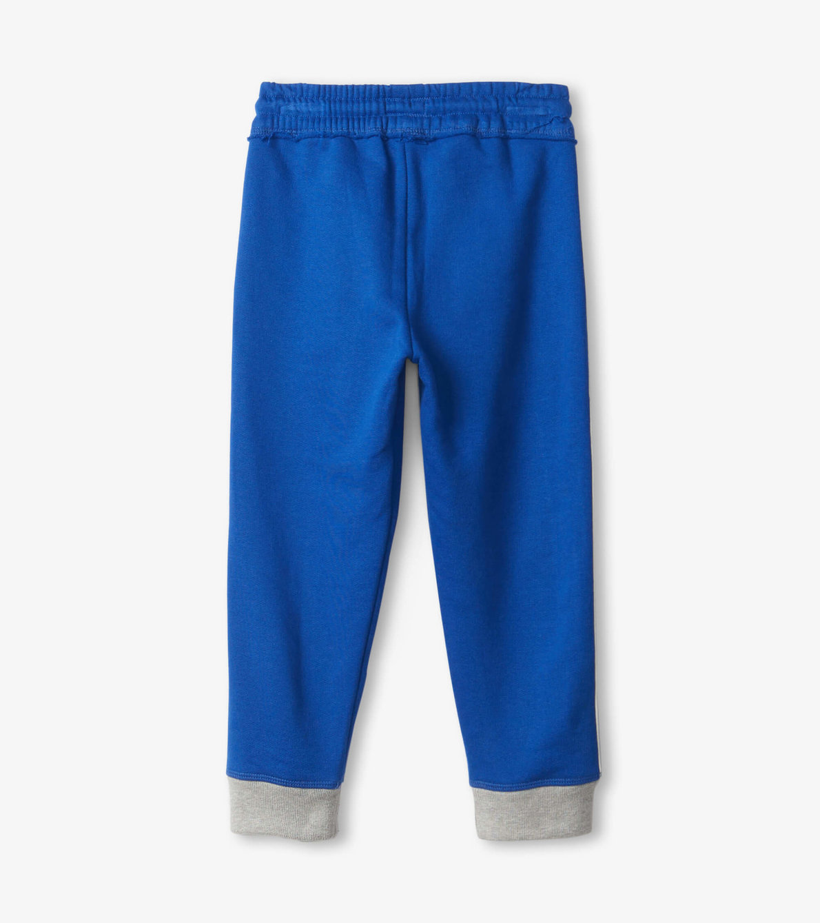 View larger image of Boys Blue Terry Joggers