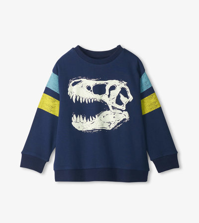 Boys Dino Glow Pullover Sweatshirt