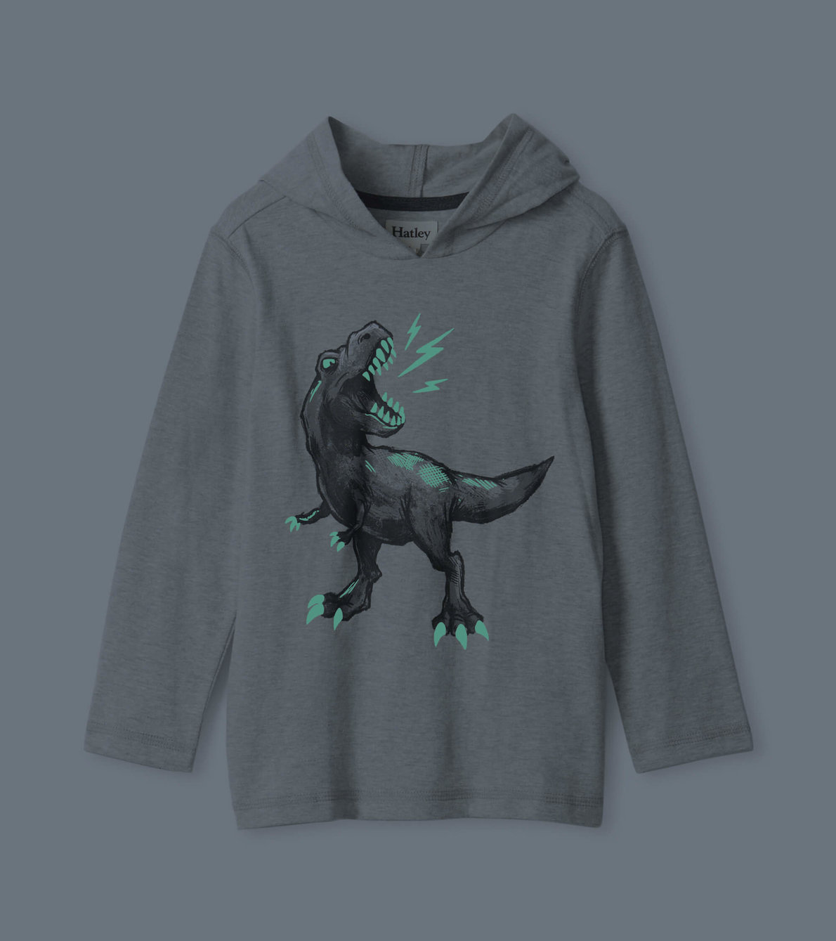 Agrandir l'image de T-shirt à capuchon et manches longues – Dinosaure
