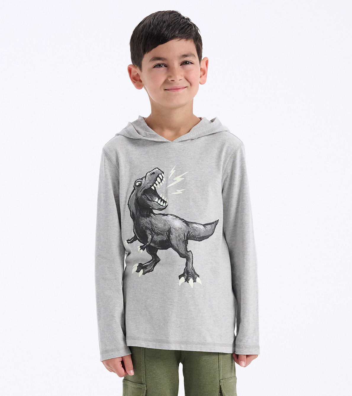 Agrandir l'image de T-shirt à capuchon et manches longues – Dinosaure