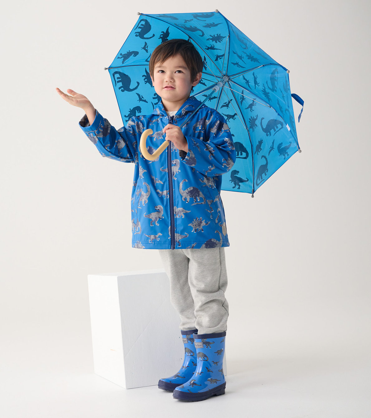 View larger image of Boys Dinosaur Zip-Up Raincoat