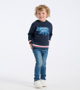 Boys Freedom To Roam Pullover Sweater
