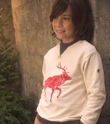 Boys Red Elk Sweater
