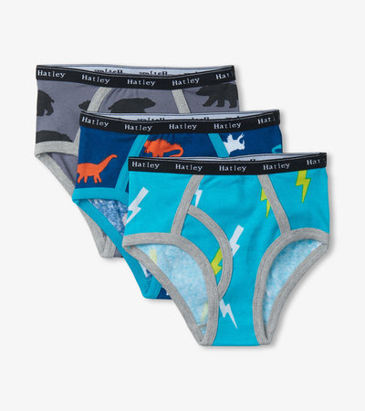 Boys Silhouette Nature 3 Pack Classic Briefs