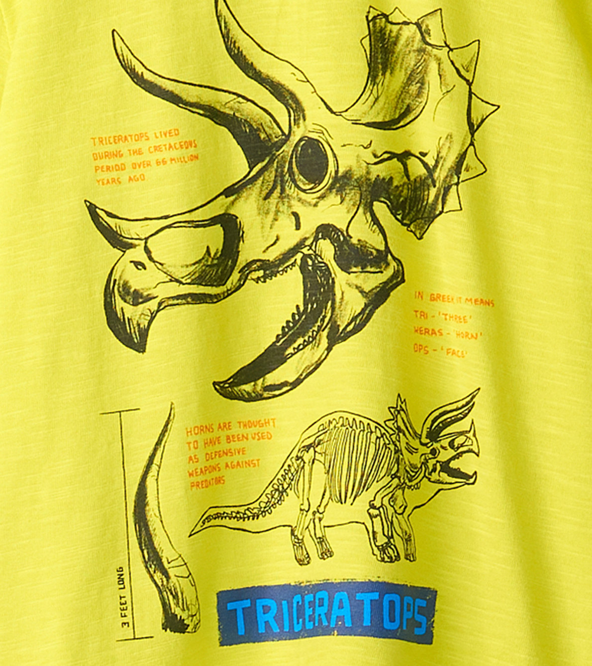 Agrandir l'image de T-shirt à imprimé – Tricératops