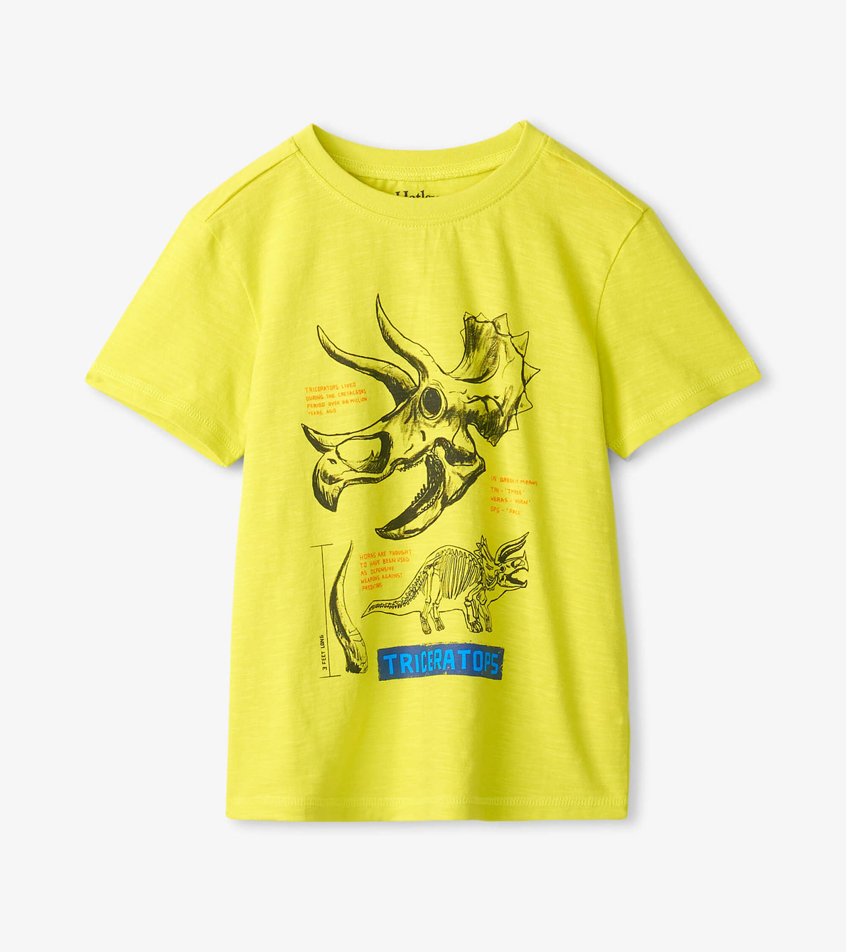 View larger image of Boys Triceratops Graphic Tee