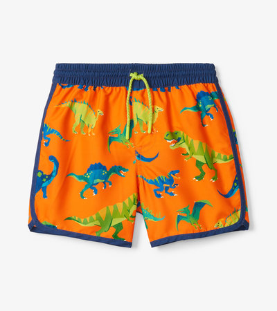 Colourblock Dino Swim Shorts