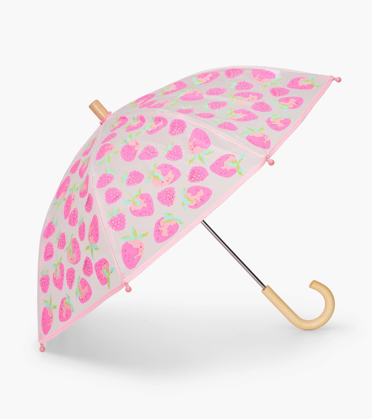 Agrandir l'image de Parapluie transparent – Petits fruits frais