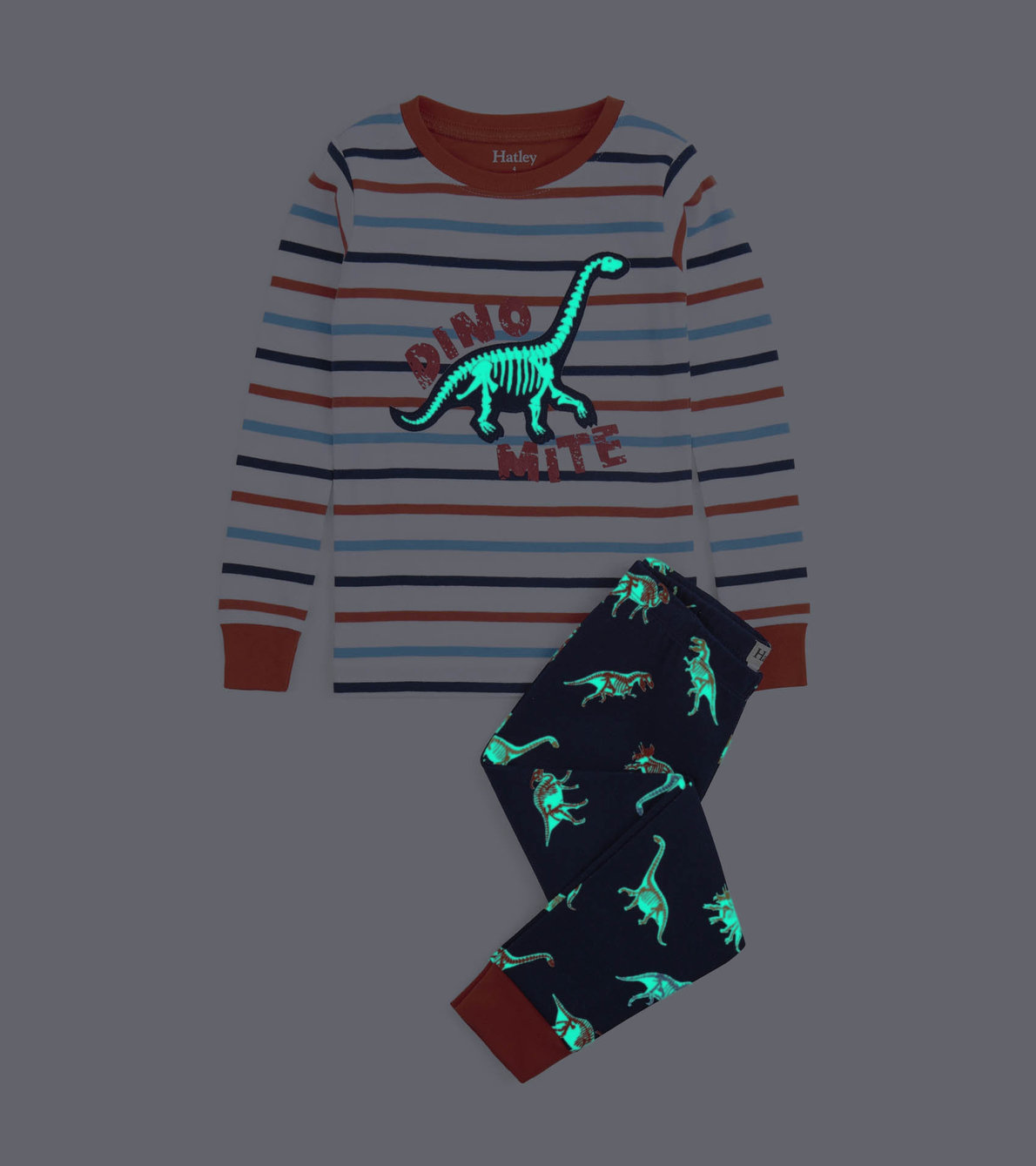 View larger image of Glow in the Dark Fossils Appliqué Pajama Set