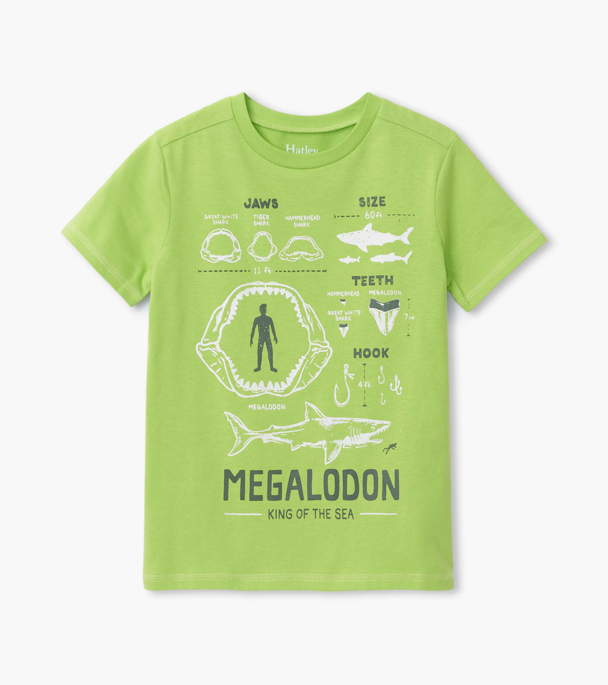 Agrandir l'image de T-shirt à imprimé – Mégalodon