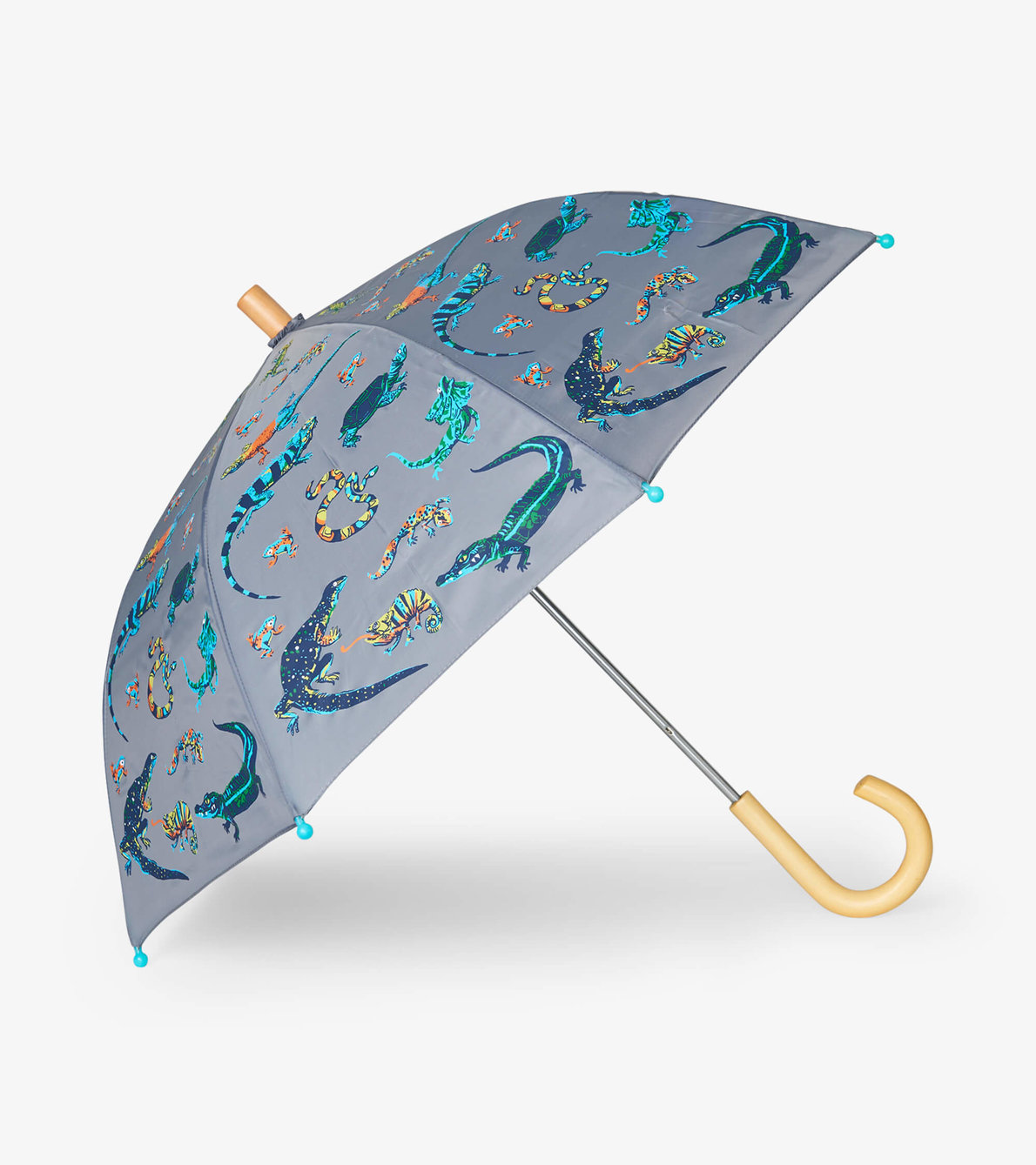 Agrandir l'image de Parapluie – Reptiles turbulents