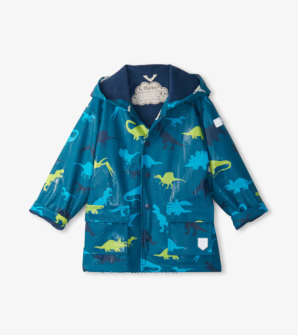 View larger image of Boys Real Dinosaurs Button-Up Raincoat