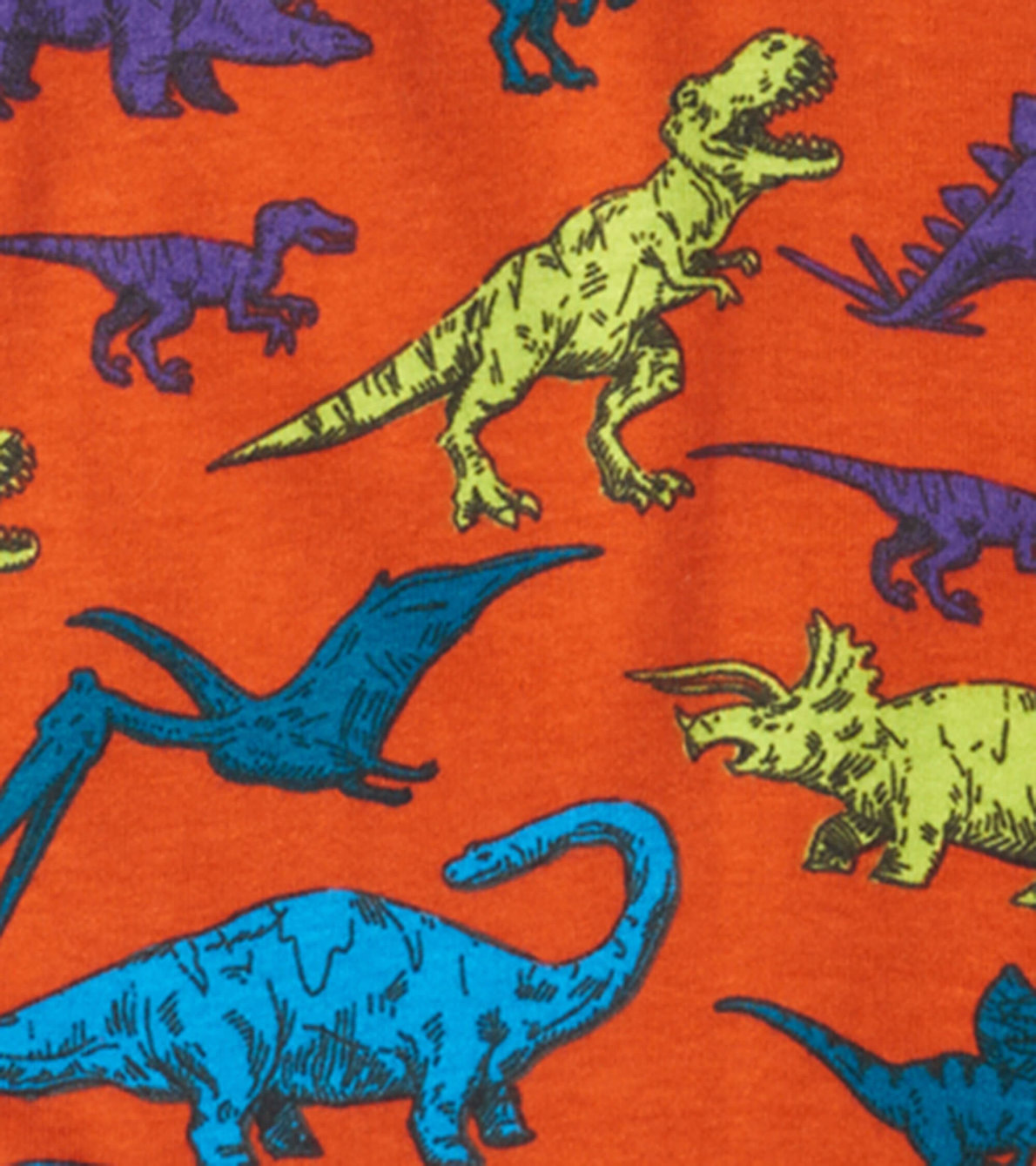 Agrandir l'image de Pyjama pour enfant – Dinosaures réels