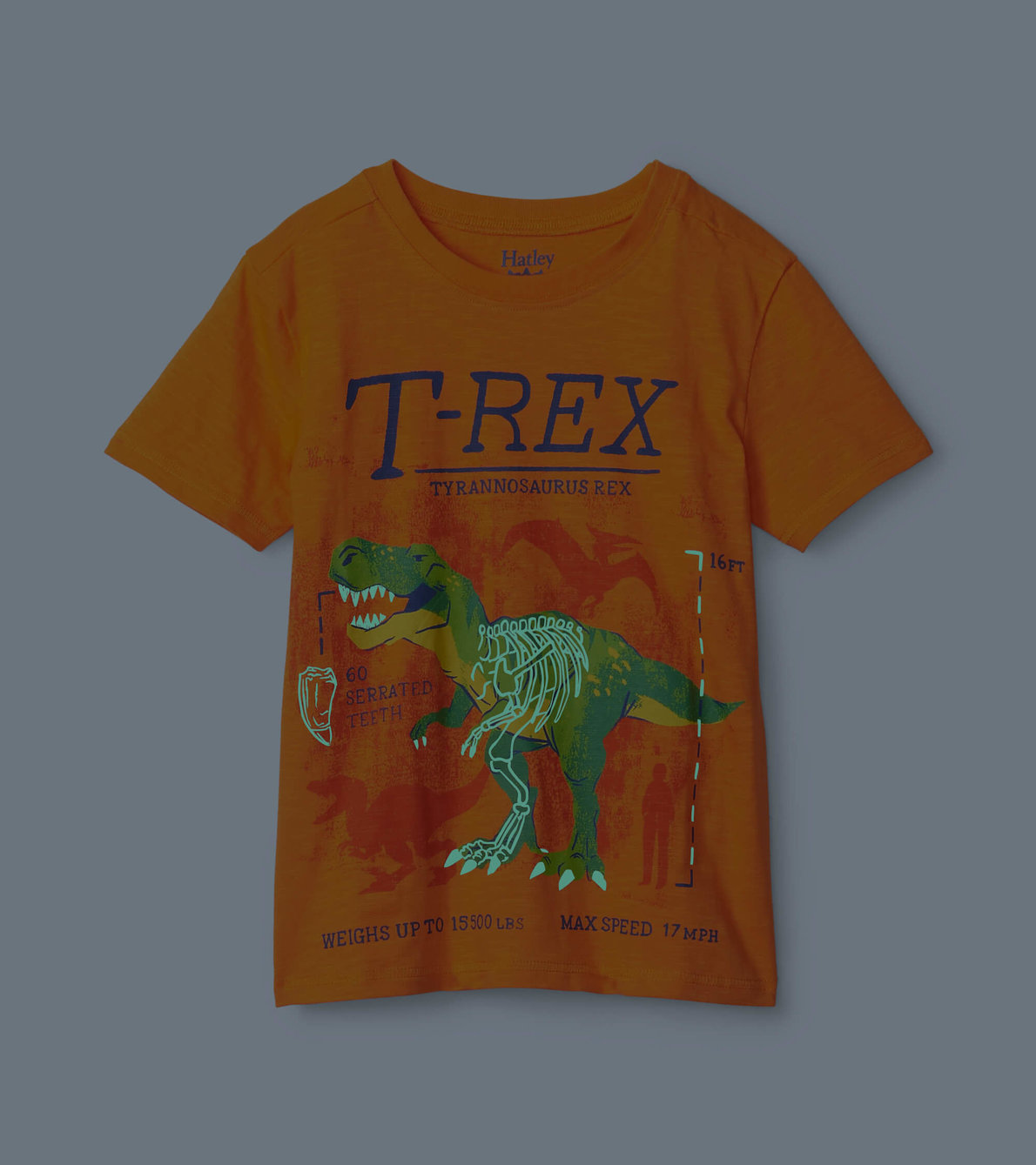 View larger image of T-Rex Glow In The Dark Graphic Tee