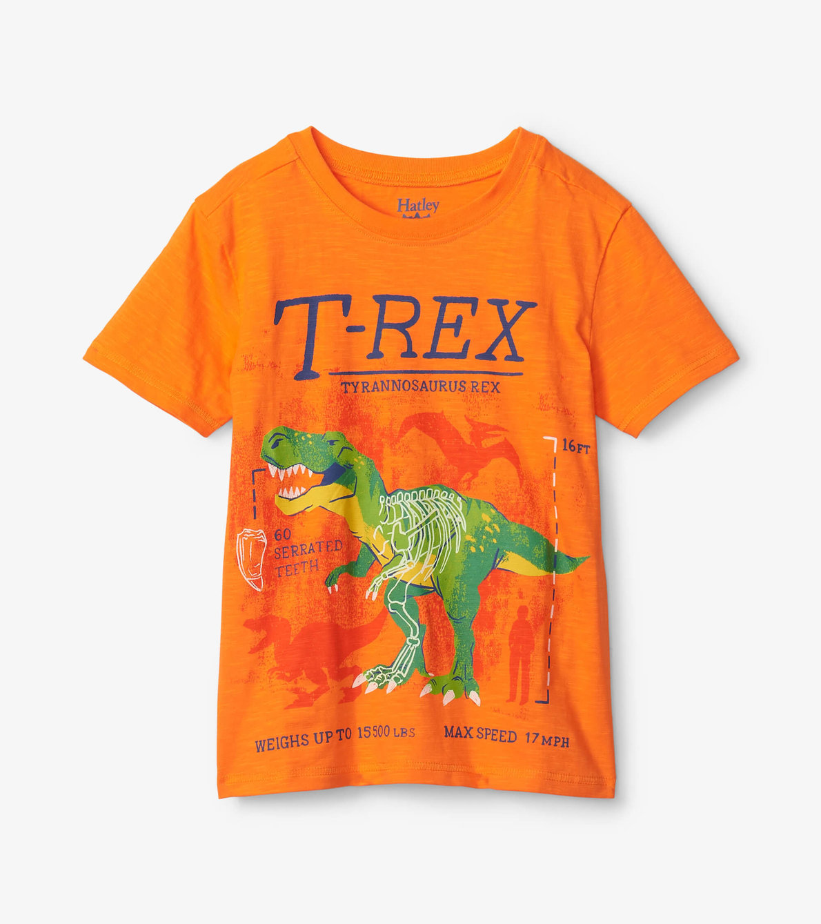 Agrandir l'image de T-shirt à imprimé qui brille dans le noir – T. rex