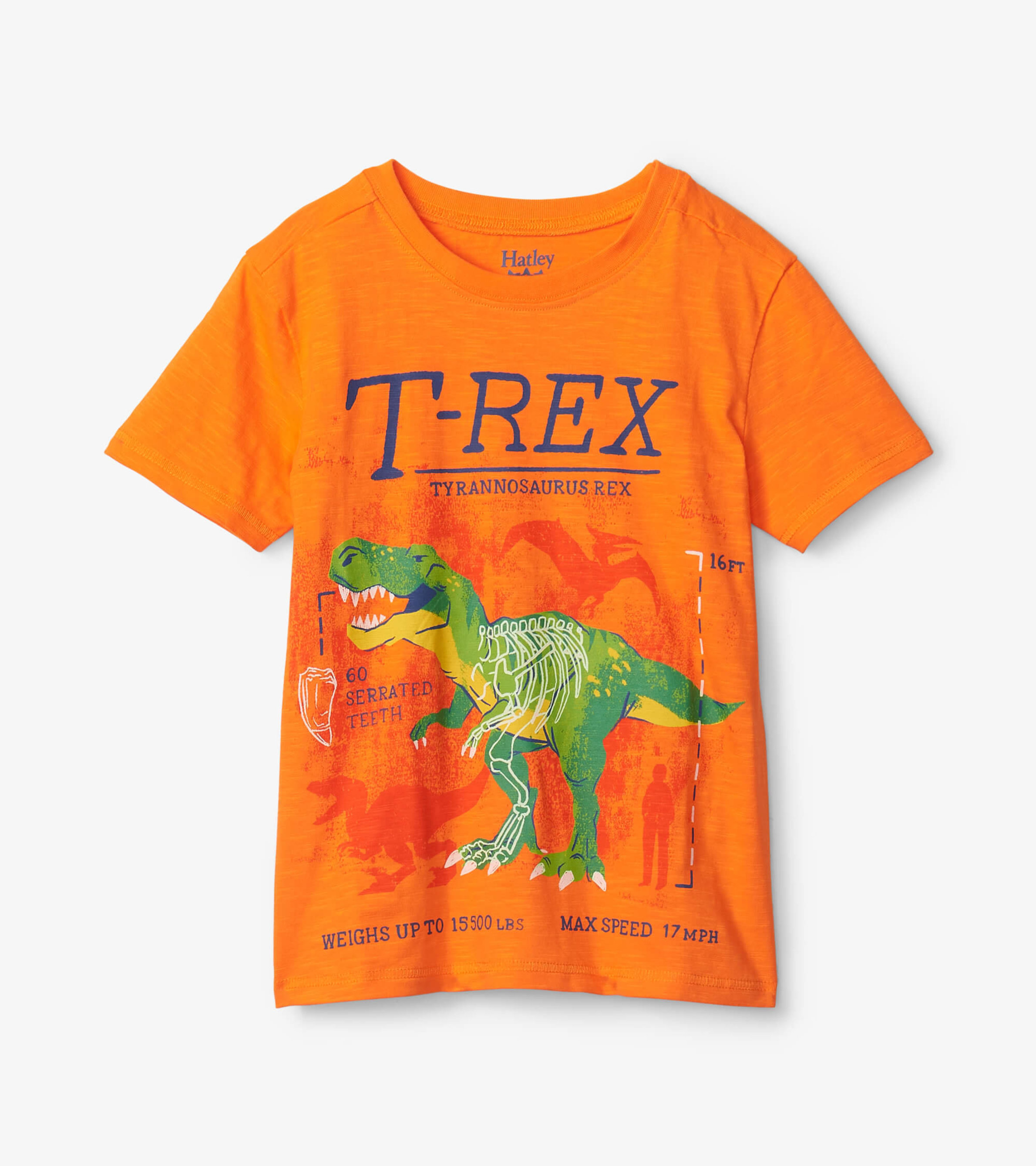 T-Rex Glow In The Dark Graphic Tee - Hatley US