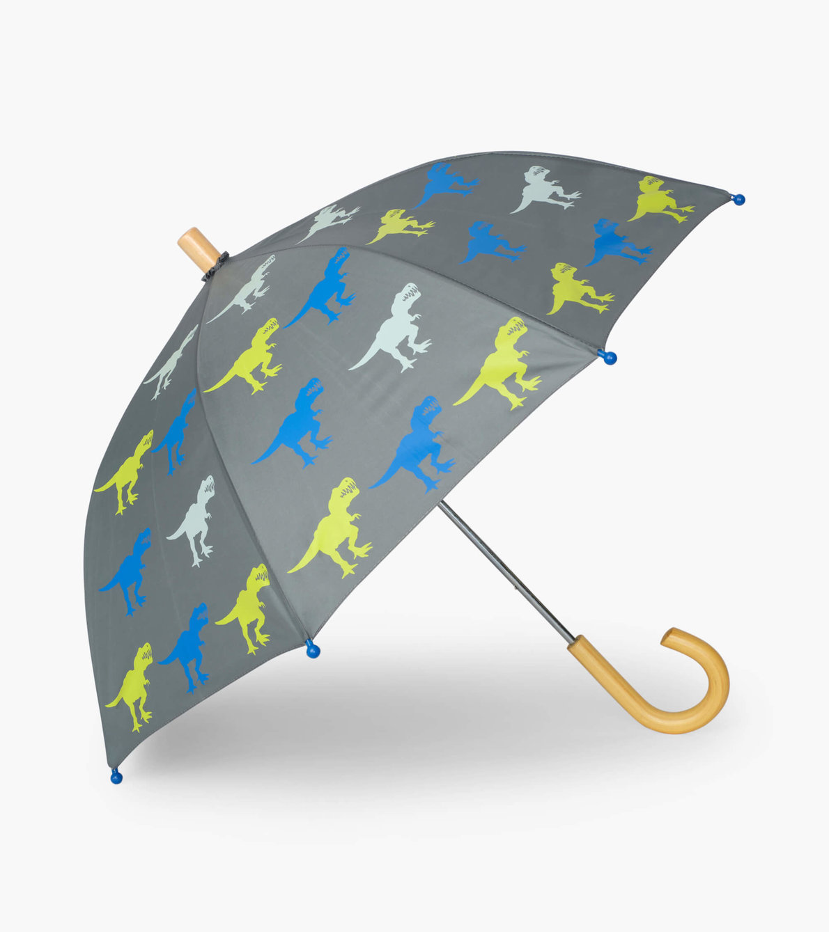 View larger image of T-Rex Umbrella
