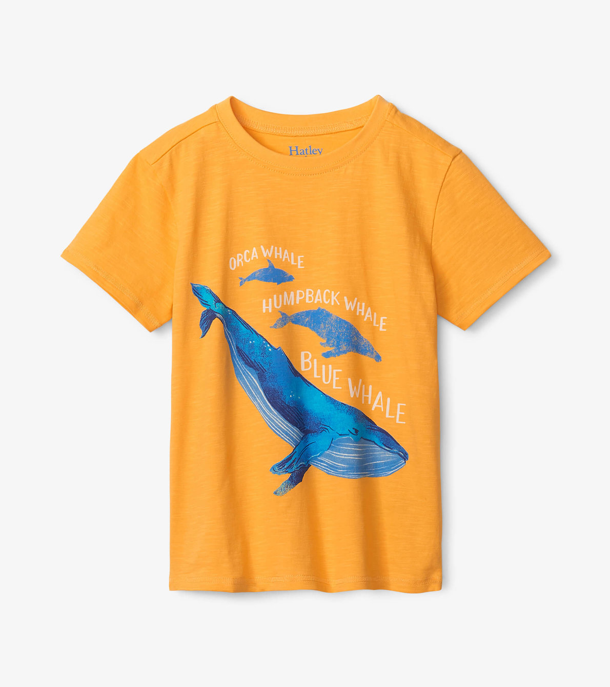 Agrandir l'image de T-shirt à imprimé – Trois espèces de baleine